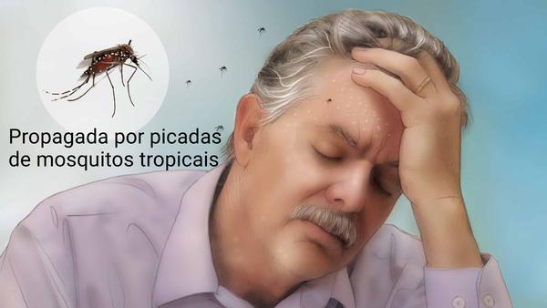 Mais de 500 cidades correm risco de surto de dengue nesse verão